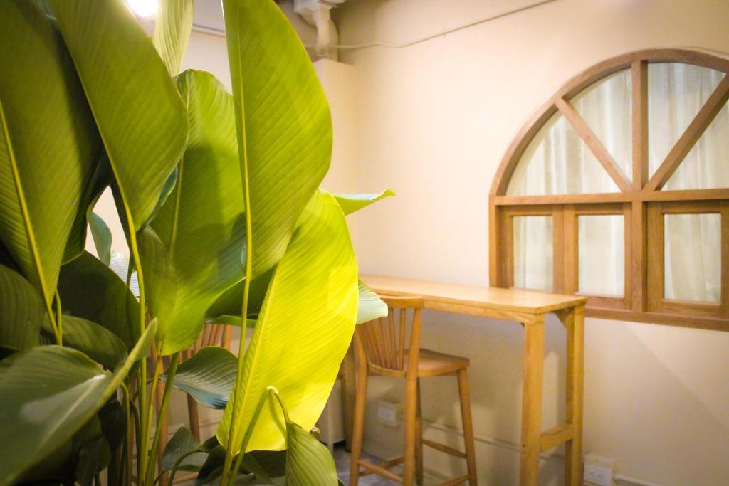 Fotografie z fotogalerie ubytování Mascomunal hostel v destinaci Medellín