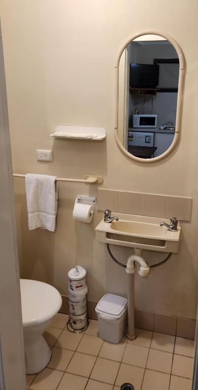 a bathroom with a toilet sink and a mirror at Beechworth Holiday Park in Beechworth