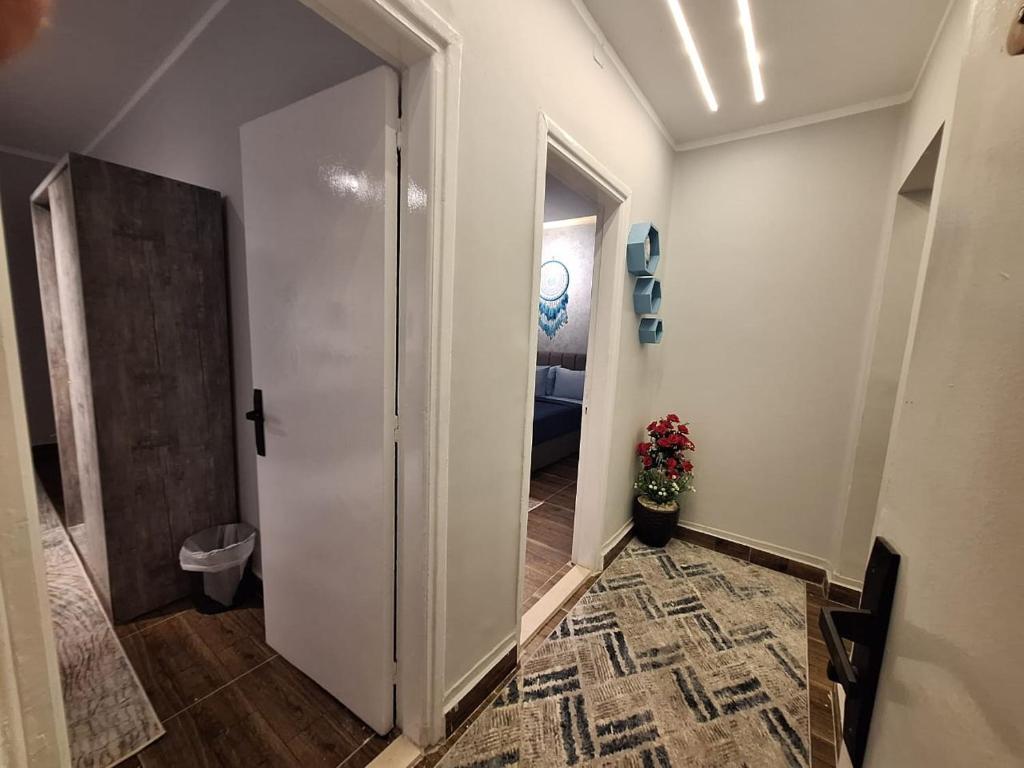 Fotografie z fotogalerie ubytování downtown Family Suites v Káhiře