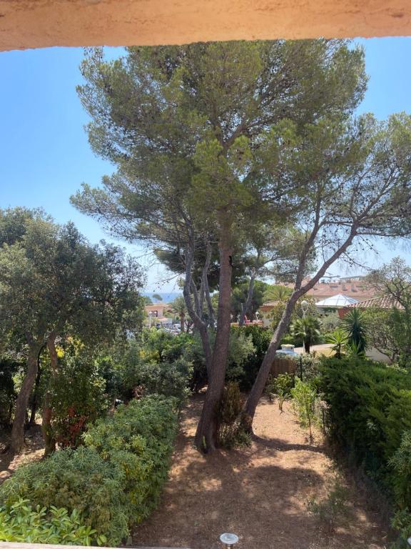 un arbre au milieu d'un jardin dans l'établissement T3 Mer Calme Famille à Saint Aygulf, à Fréjus