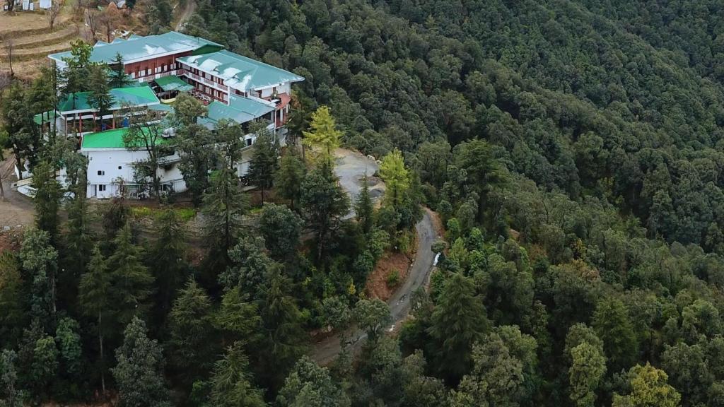Bazén v ubytování TreeHouse Chail Villas nebo v jeho okolí