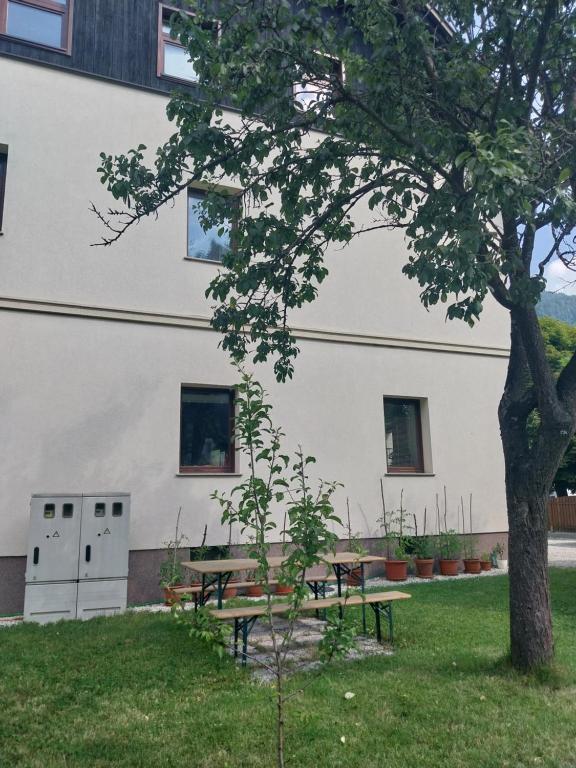 Zahrada ubytování Apartma Praprot