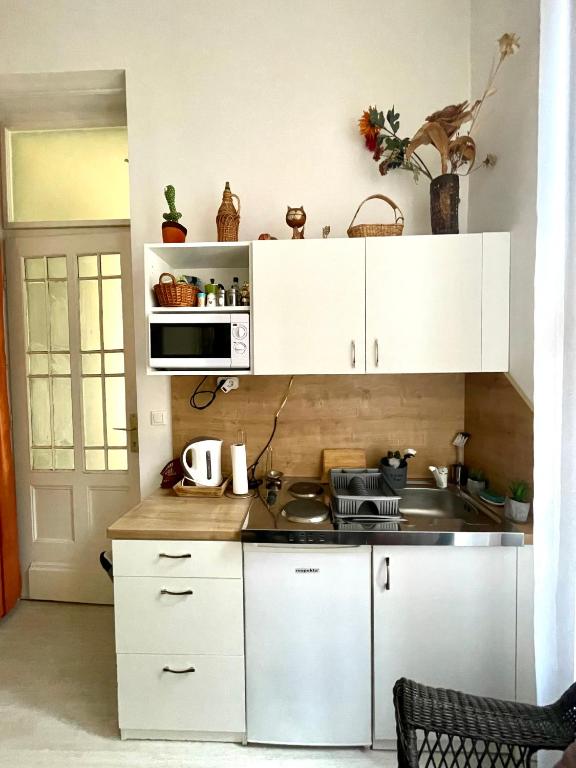 Kuchyňa alebo kuchynka v ubytovaní Junior Orange Apartment next to Danube