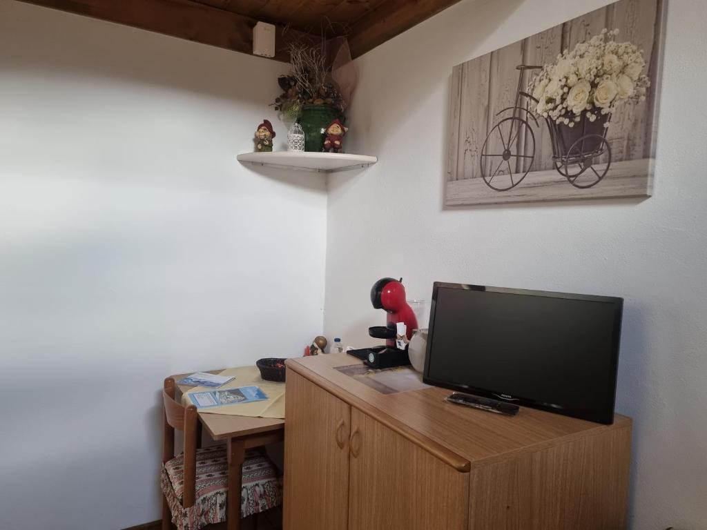 TV a/nebo společenská místnost v ubytování Camera Adamello 1
