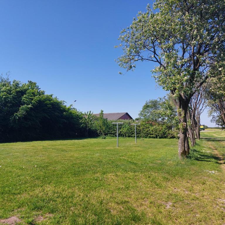 Zahrada ubytování Vakantiewoning Denemarken