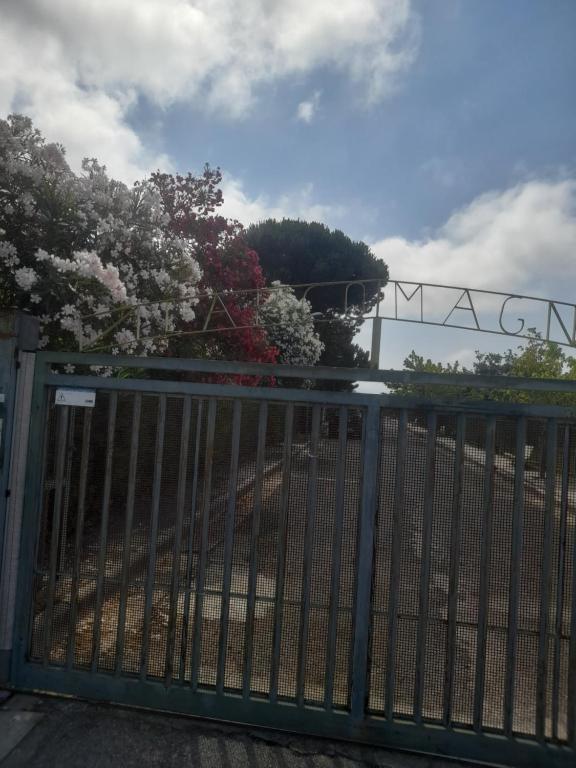 Φωτογραφία από το άλμπουμ του Casa Ettore σε San Nicola Arcella