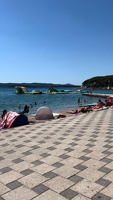 Příroda nedaleko kempu