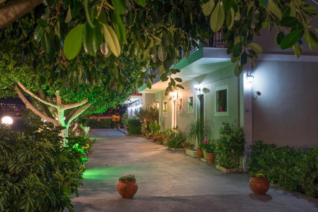 Giardino di Tota Studios