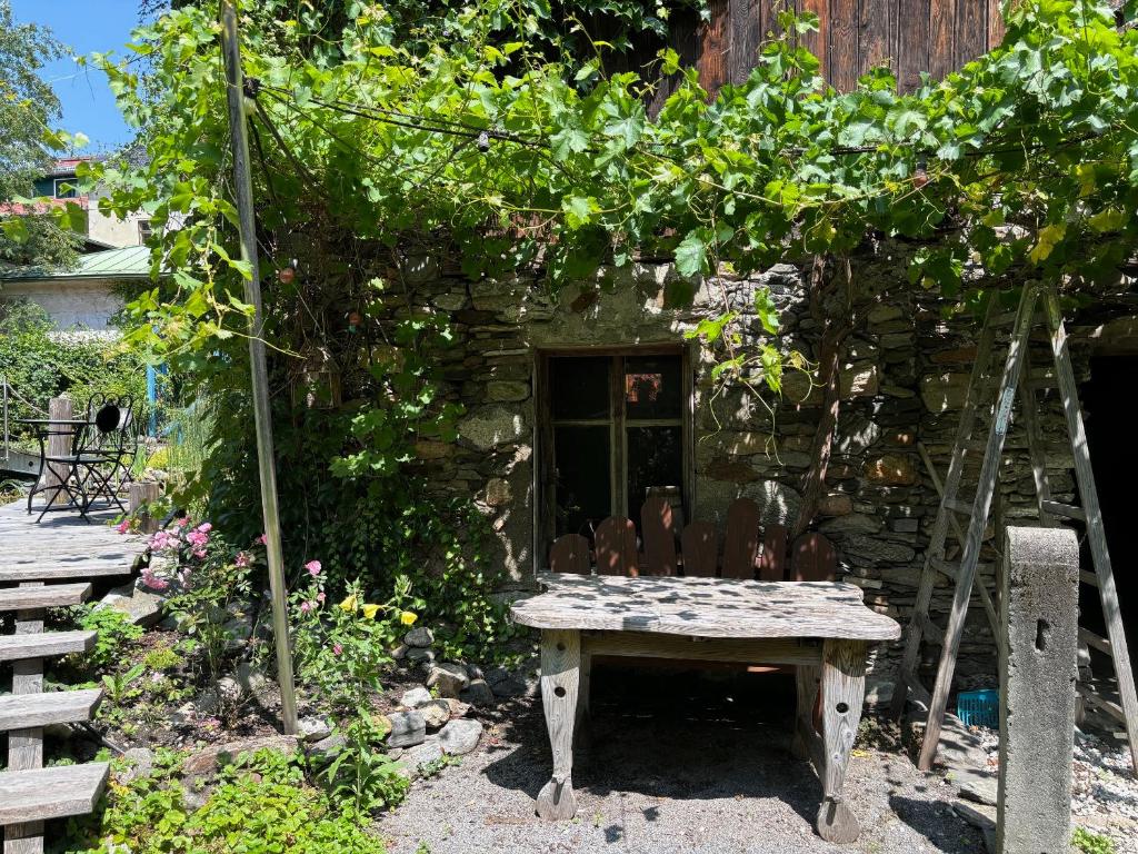 Zahrada ubytování Haus Höhr