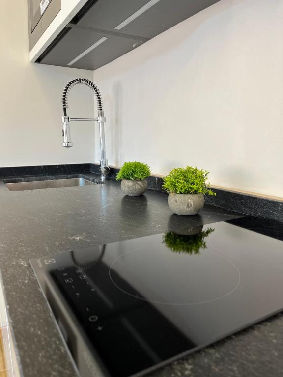Kuchyň nebo kuchyňský kout v ubytování Villa Giulietta lake view Jacuzzi Spa 108