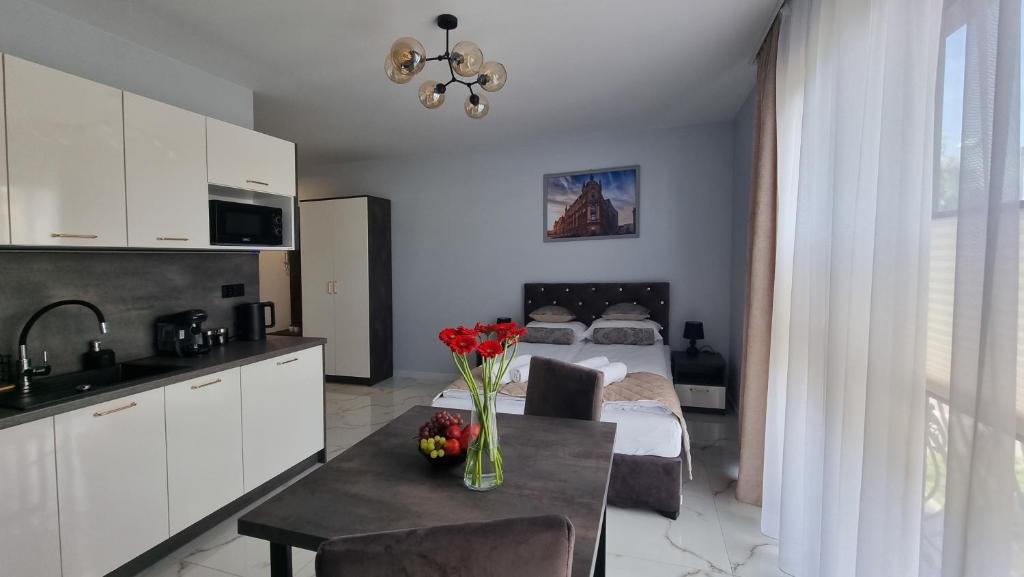 Katowice Apartamenty Hetmańska 4 - 13