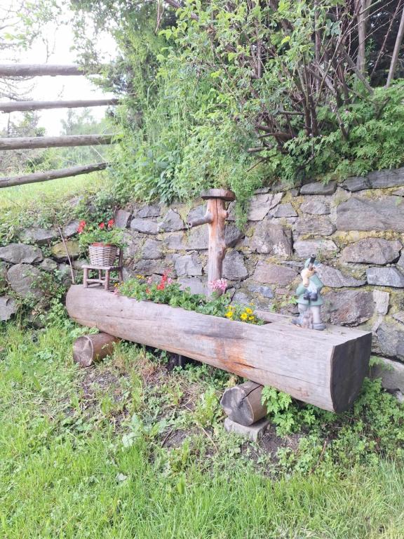 Zahrada ubytování Adlerhütte