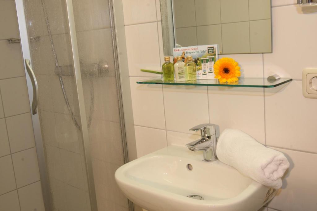 Koupelna v ubytování Arberschutzhaus