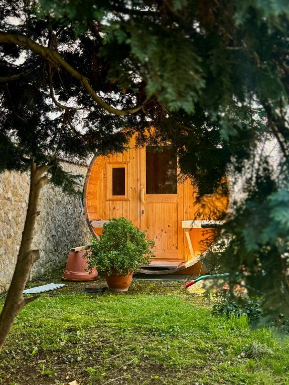 a wooden door of a house with a potted plant at Ganzes Tiny House "Thüringer Ruhe" mit großem Garten nahe Rennsteig in Laucha