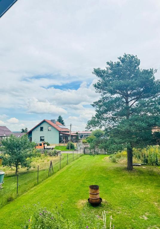 a yard with a tree and a barrel in the grass at Ganzes Tiny House "Thüringer Ruhe" mit großem Garten nahe Rennsteig in Laucha