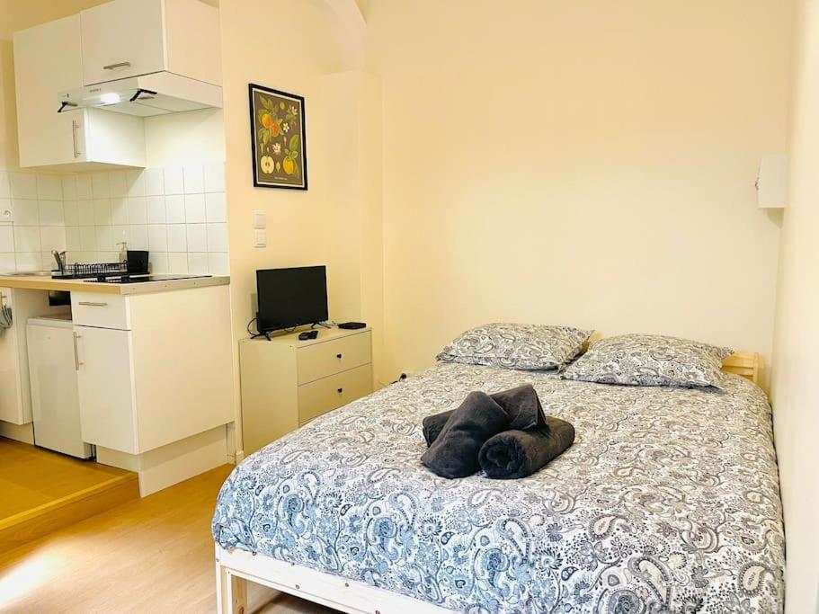 a bedroom with a bed with a dog on it at Le petit meublé hyper Centre in Orléans