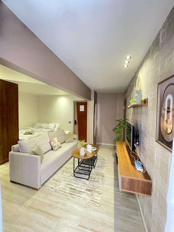 TV a/nebo společenská místnost v ubytování Luxury Studio House 1200-3