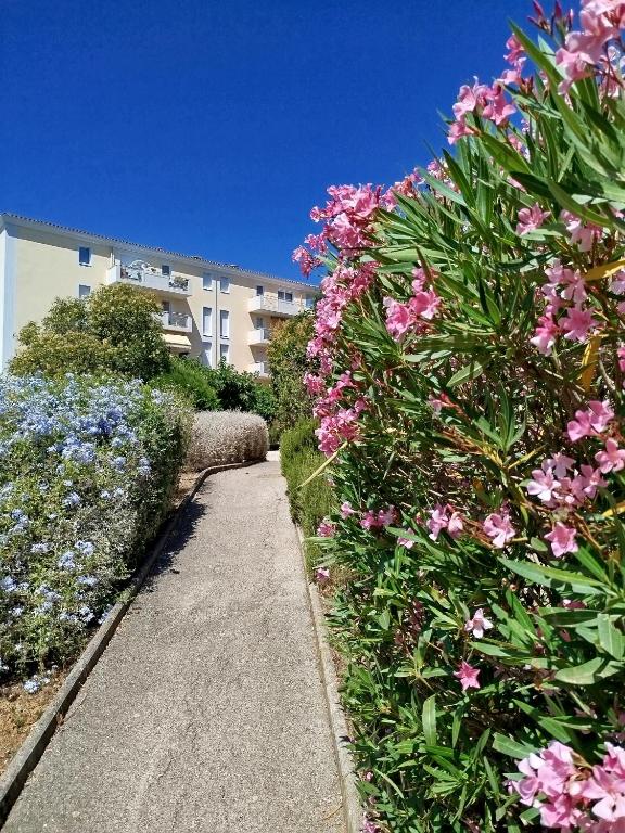un jardin avec des fleurs roses et un trottoir dans l'établissement Jasmin, à Hyères