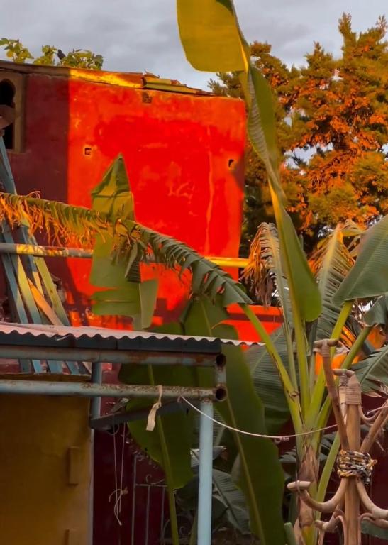 Zahrada ubytování Dar El Pirata Hostel