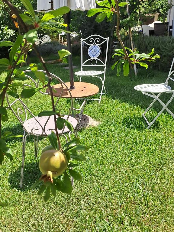 A garden outside Acqua e Sale Avola