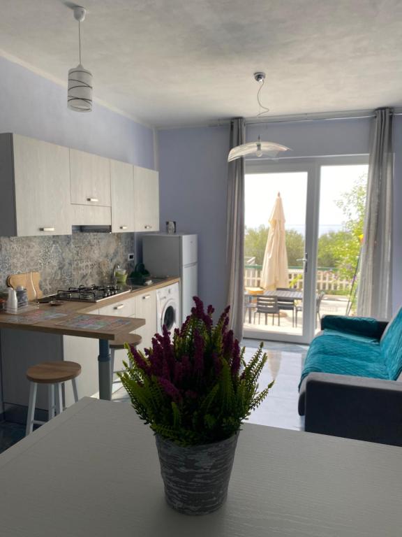 A kitchen or kitchenette at ''Dimora BellaVista'' - Marina di Camerota