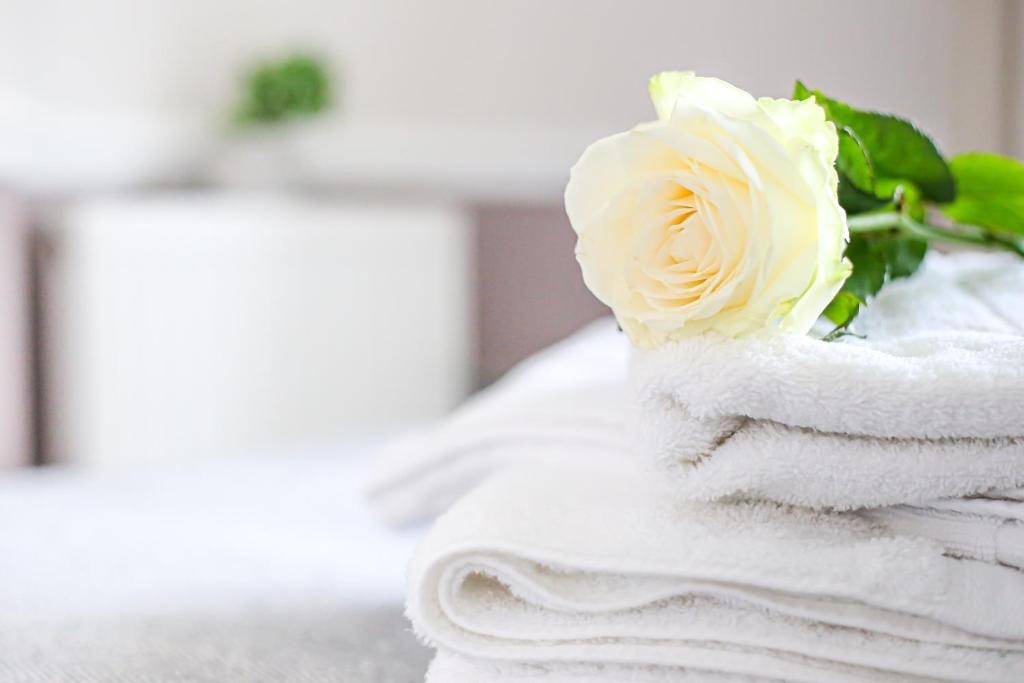a white rose sitting on top of towels at The Wellington Hotel in Ventnor