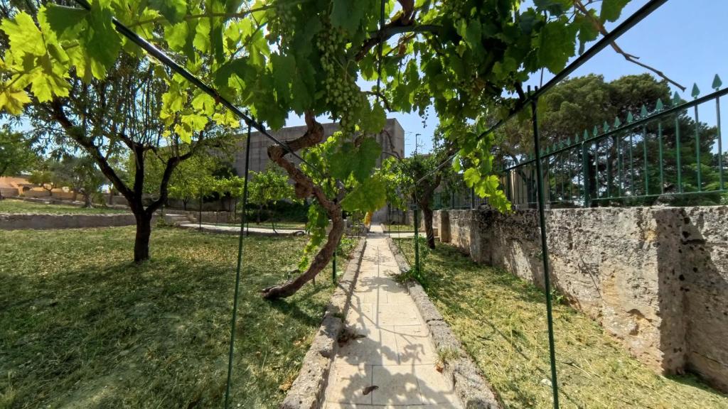 Zahrada ubytování Villa Sine Tempore Fumarola
