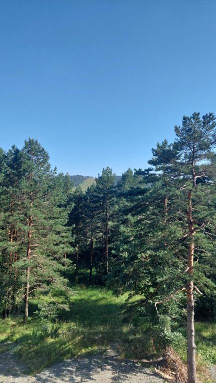 Příroda nedaleko apartmánu