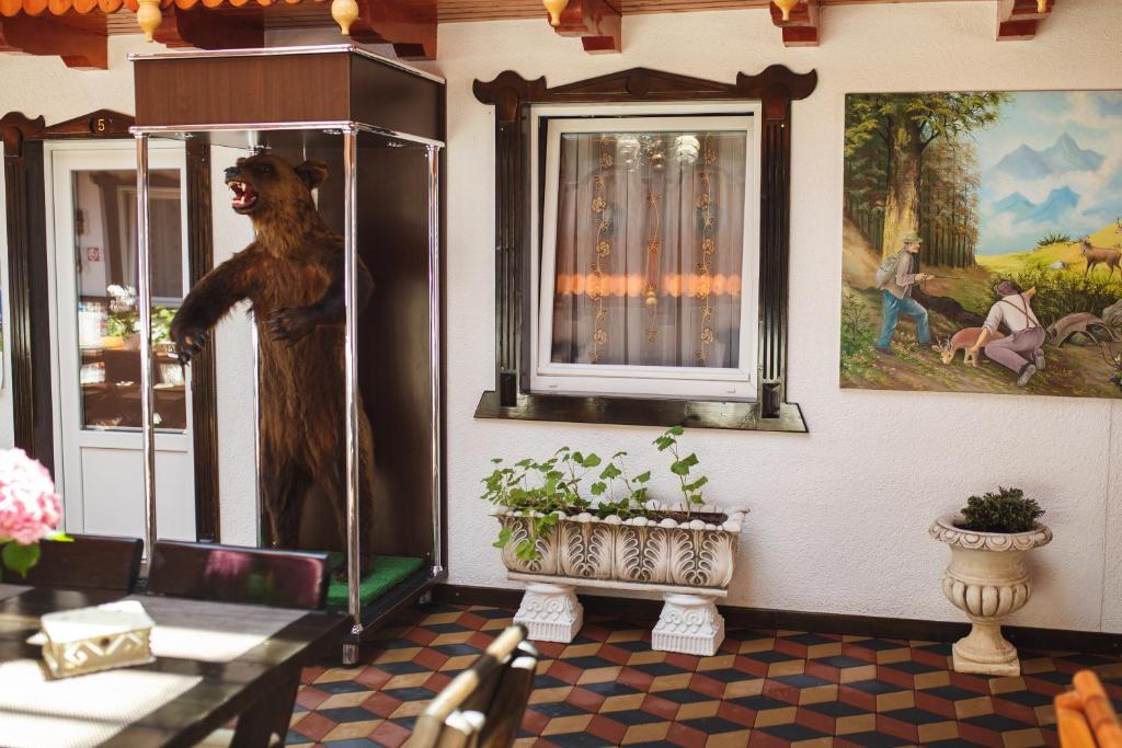 Fotografie z fotogalerie ubytování Vila ADR v destinaci Petreşti