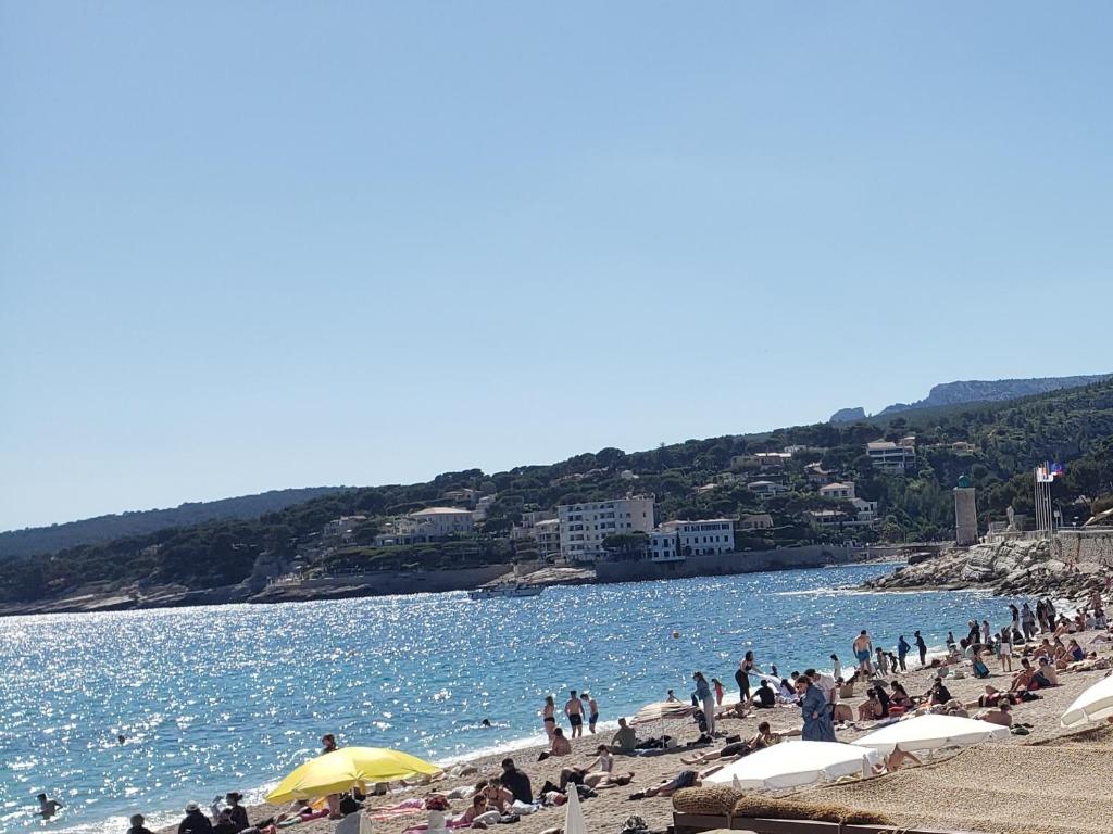 un groupe de personnes sur une plage près de l'eau dans l'établissement le central 300 metres de la plage, à Cassis