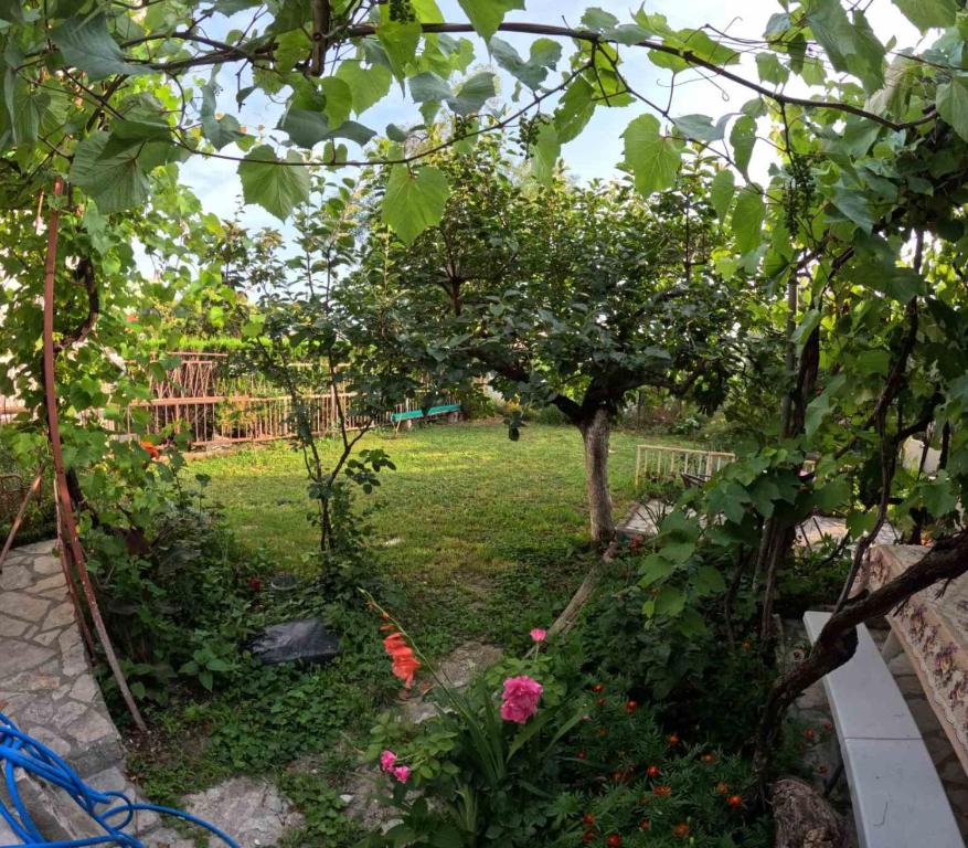a garden with a tree and flowers in a yard at Apartmani Stanić in Sutomore
