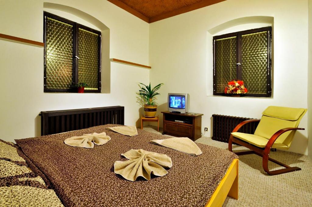 TV a/nebo společenská místnost v ubytování Hotel Kovarna
