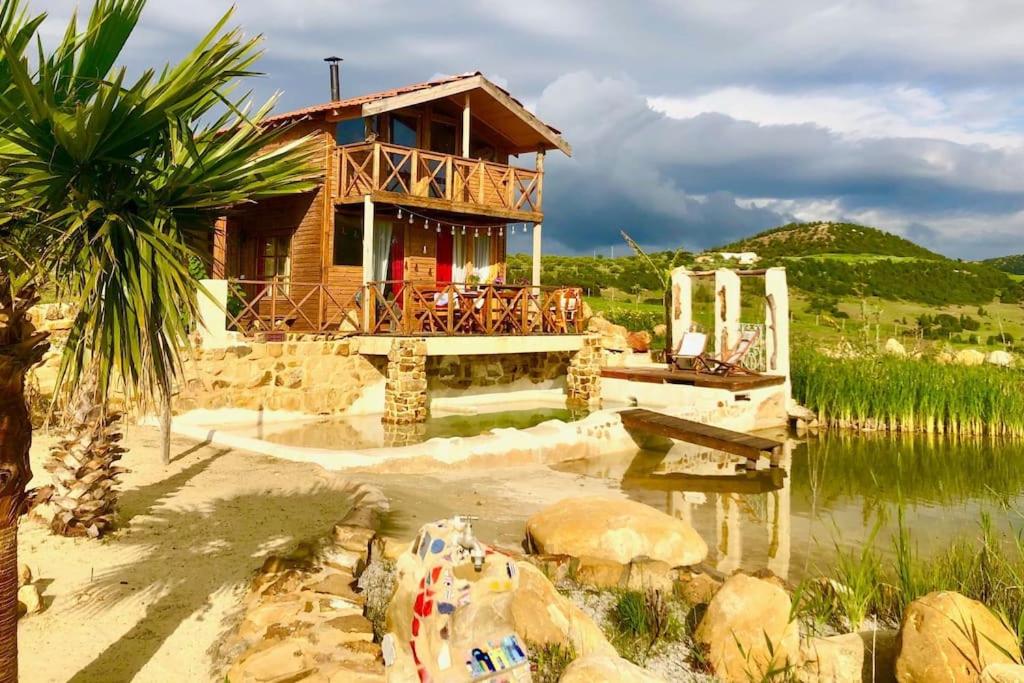 a house on a lake with a palm tree at L Ksar, mitten in schönster Natur in Sidi Jedidi