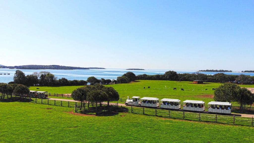 a train traveling through a field next to a fence at Deluxe apartment Playa in Valbandon