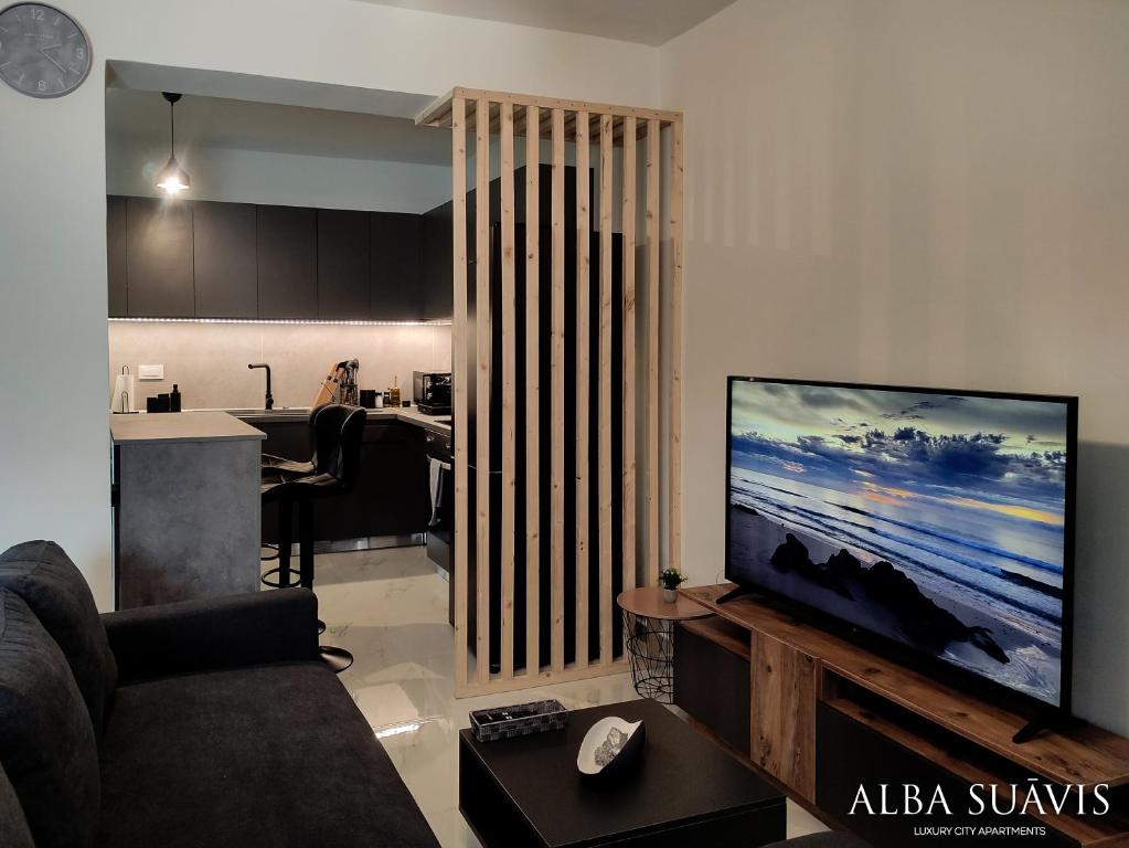 TV a/nebo společenská místnost v ubytování Alba Suāvis - Luxury City Apartment
