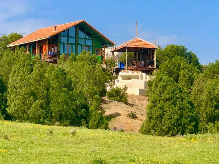 Příroda nedaleko apartmánu
