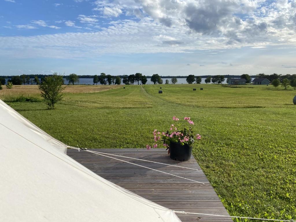 Příroda nedaleko luxury tent