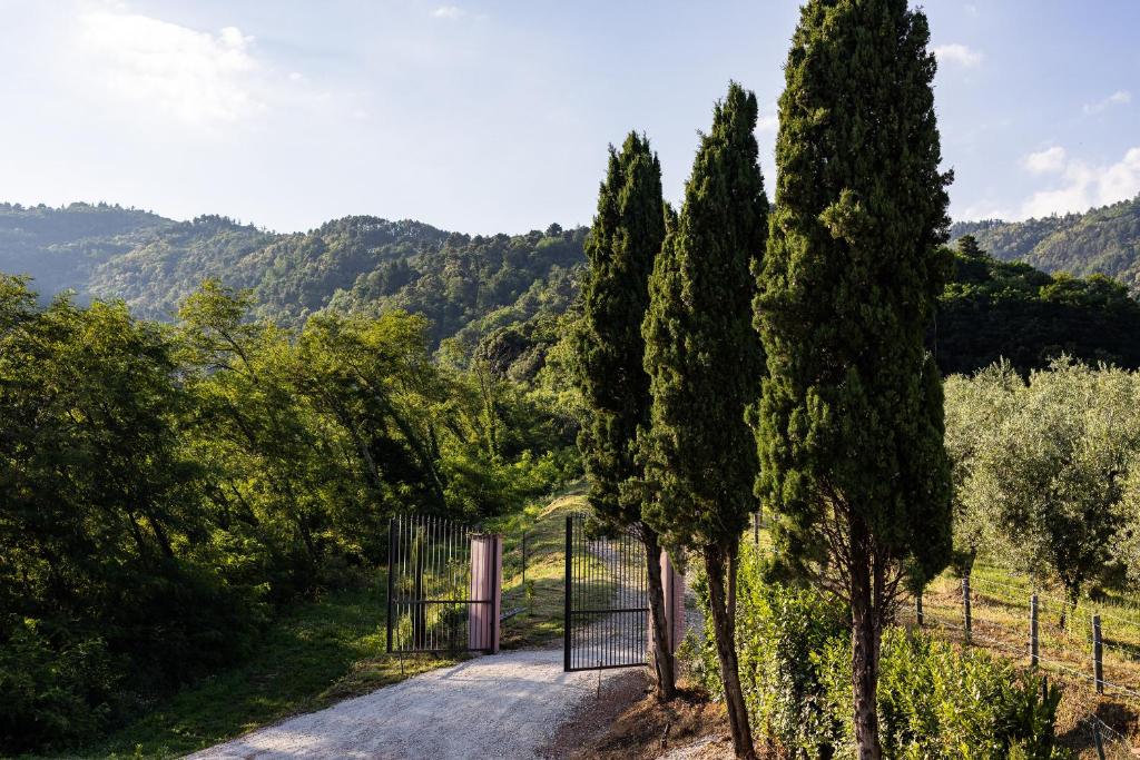un portail avec des arbres sur le côté d'une route dans l'établissement Villa La Selva, à Marliana