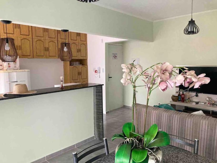 a kitchen and a living room with a vase with flowers at Apartamento Centro - Jardim Caiahu - in Mongaguá