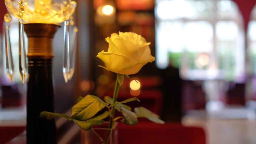 Apollofirst Boutique Hotel - Resim 20