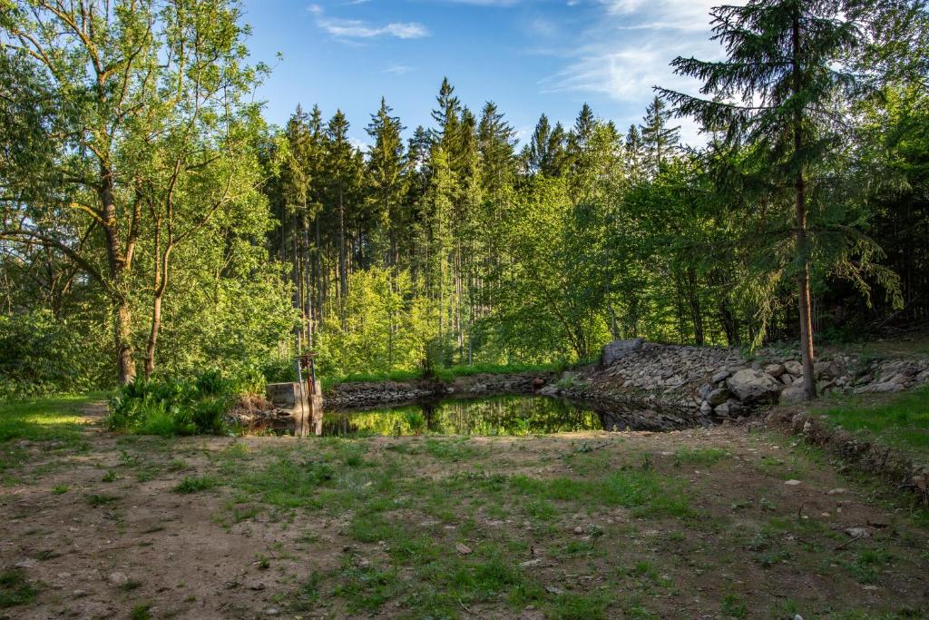 Příroda nedaleko apartmánu