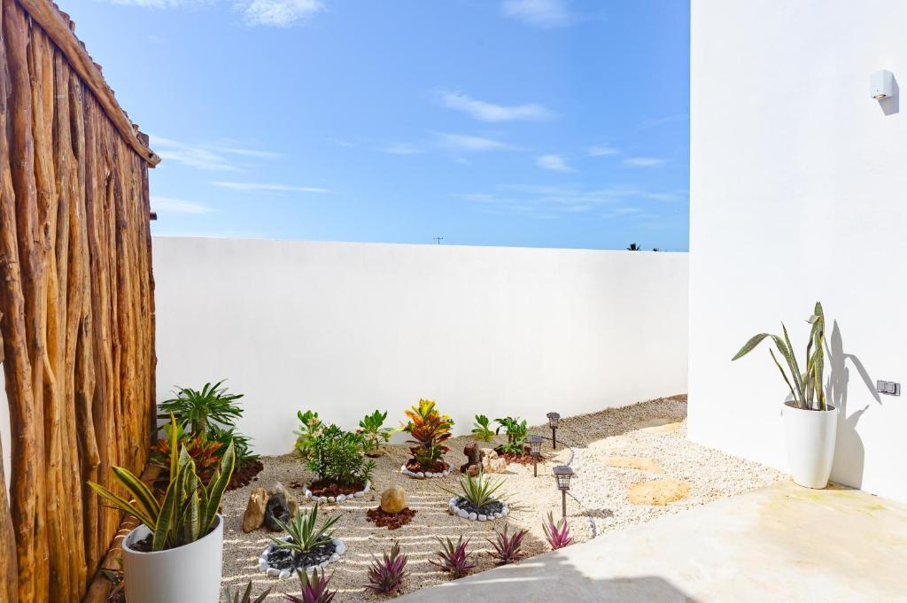 Zahrada ubytování Casa Nirvana - Puerto Arrecife