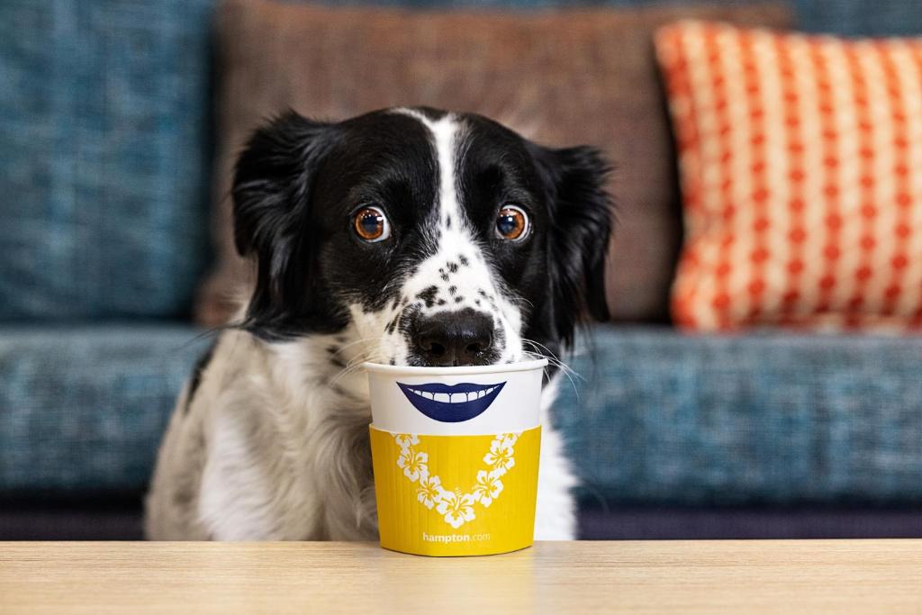 Hampton Inn & Suites by Hilton Québec - Beauport - Resim 38