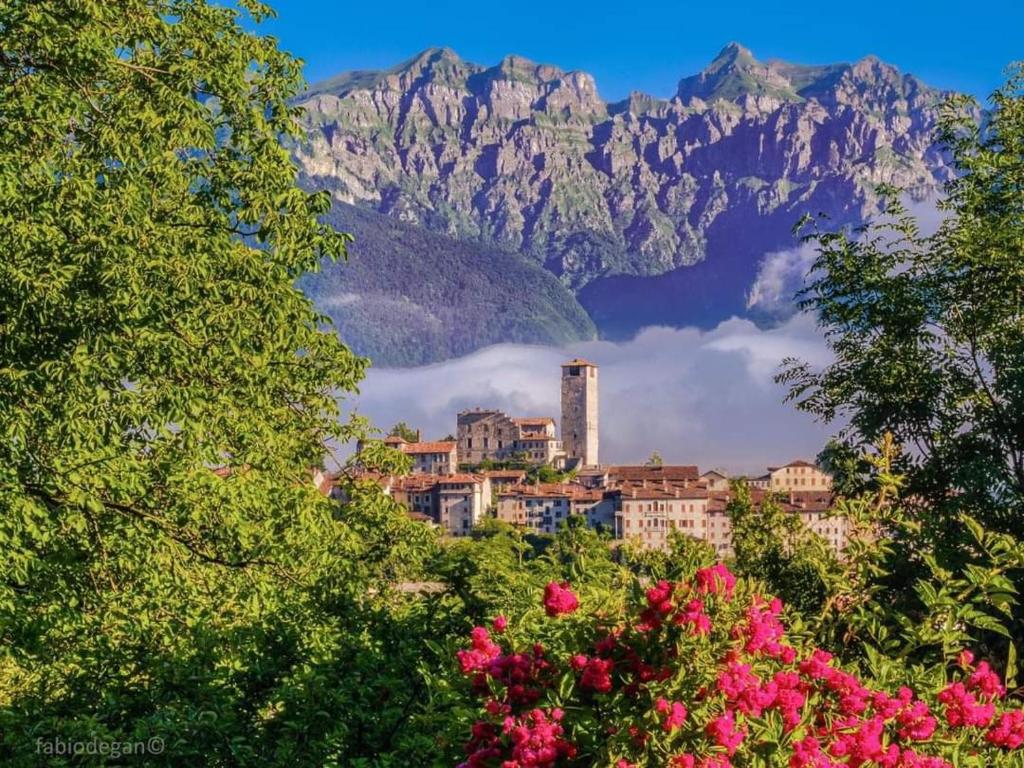 a city in front of a mountain with pink flowers at La Casa di Anna nel Parco delle Dolomiti Croce d' Aune 1000 ml slm in Pedavena