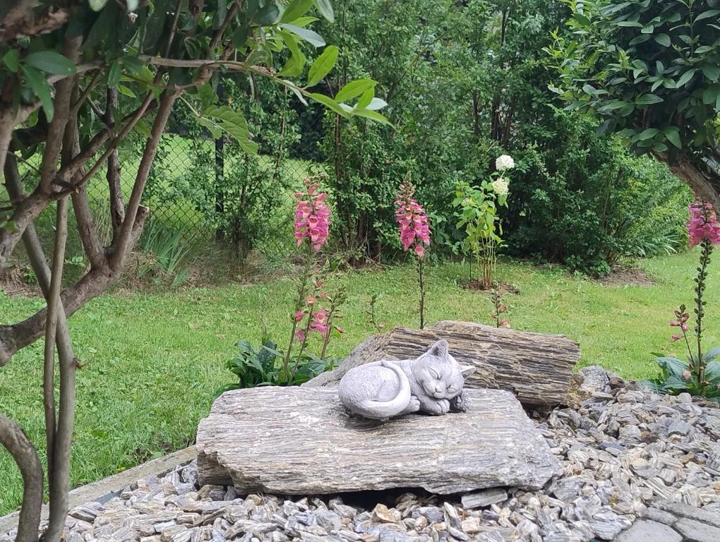 Zahrada ubytování Villa Słoneczne Wzgórze