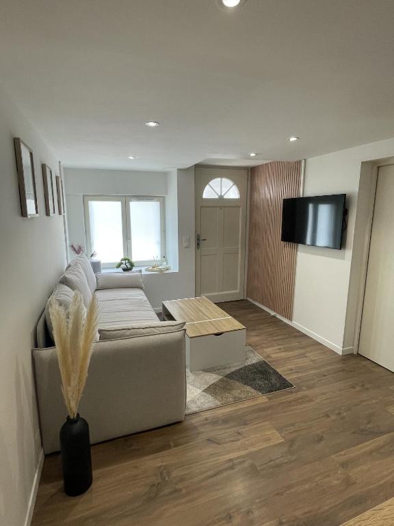 un salon avec un canapé et une télévision à écran plat dans l'établissement Le cosy Lorientais, à Lorient