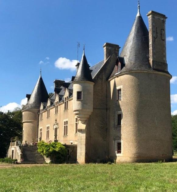 un ancien château installé au-dessus d'un champ verdoyant et luxuriant dans l'établissement Chambre dans tour du 15ème siècle, à Mauvières