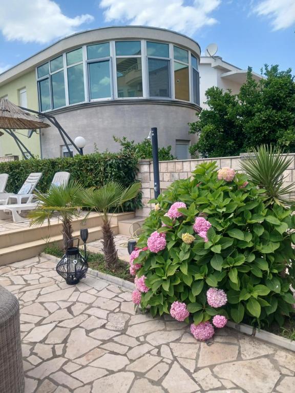 Zahrada ubytování Hotel Denis