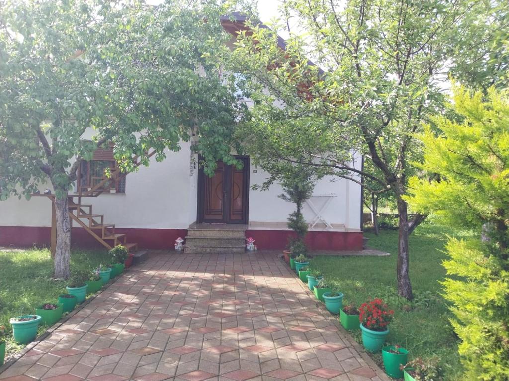Zahrada ubytování Riza Guest House