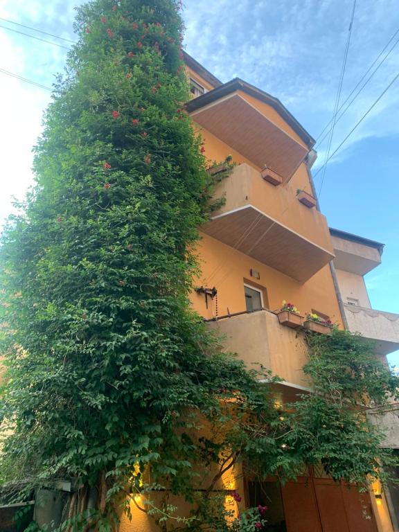 エレバンにあるYerevan's Heartの大木の前の建物